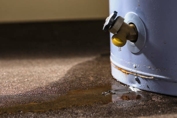 Best Ceiling water damage repair  in Maysville, GA