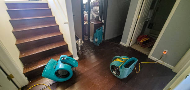  Maysville, GA Water damage restoration Pros