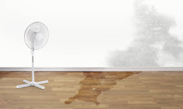 Best 24/7 water damage repair  in Maysville, GA