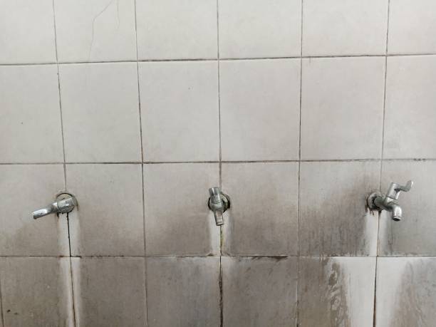 Best Residential water damage restoration  in Maysville, GA