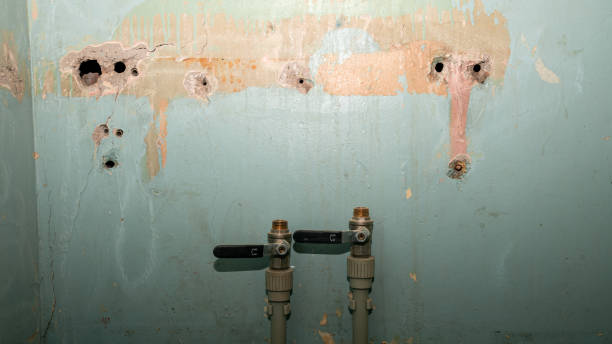 Best Commercial water damage restoration  in Maysville, GA