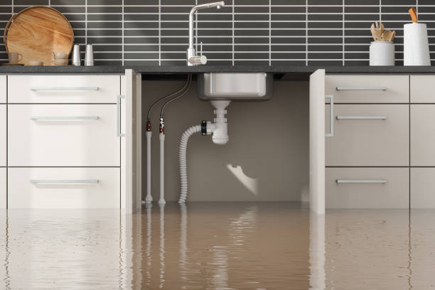 Best Mold removal after water damage  in Maysville, GA