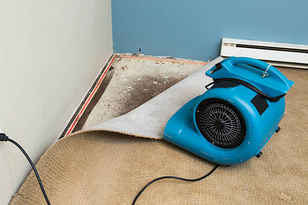 Best Fire Damage Restoration  in Maysville, GA
